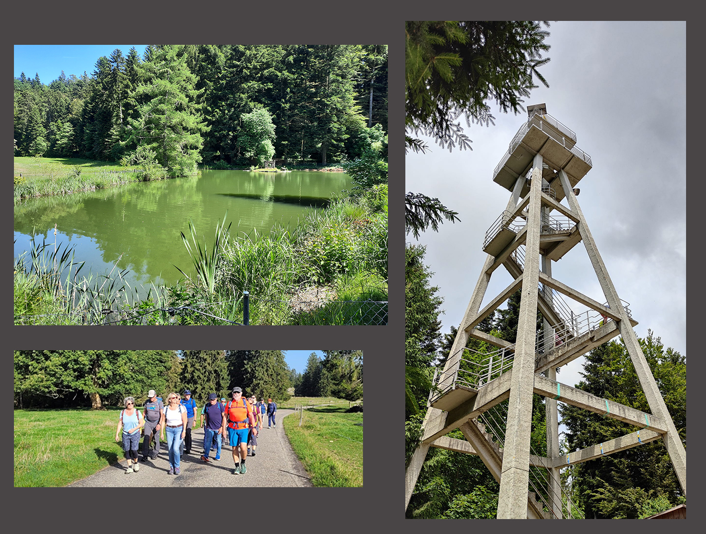 TROPHY'S WANDERUNG